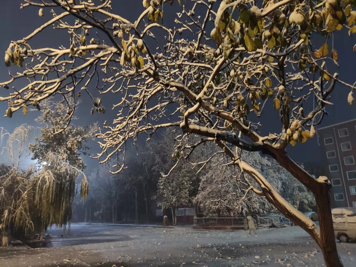 昨夜，风雪中的你